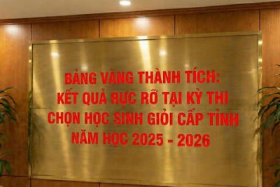 BẢNG VÀNG THÀNH TÍCH: KẾT QUẢ RỰC RỠ TẠI KỲ THI CHỌN HỌC SINH GIỎI CẤP TỈNH NĂM HỌC 2025 – 2026